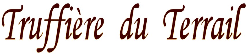 Truffiere du Terrail situe en Perigord noir, vente de Truffes Noires du P&eacute;rigord Ete ou Hiver